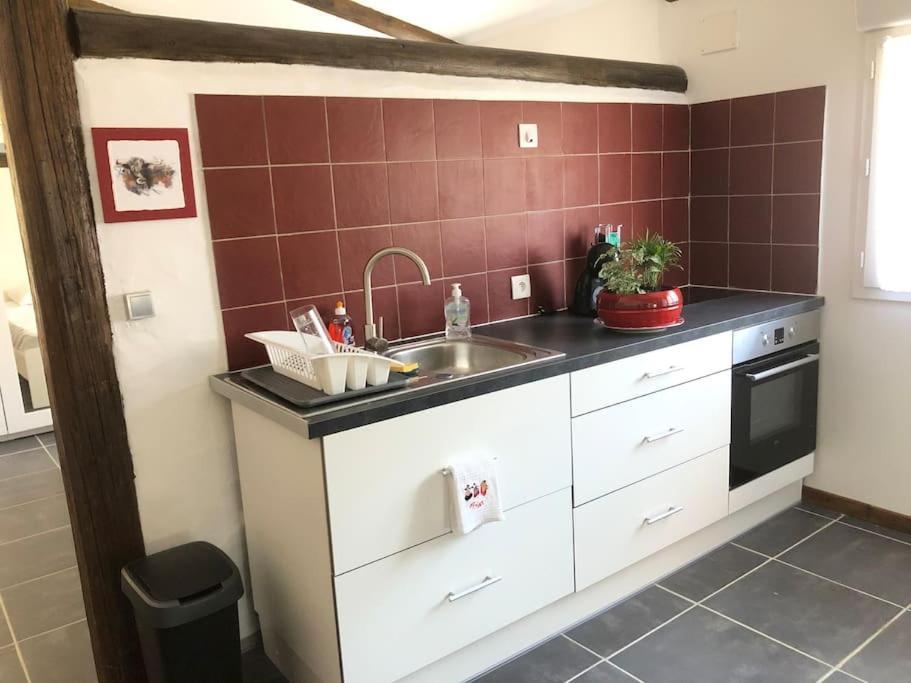 Logement Insolite Au Coeur D'Une Ecurie Arlés Exterior foto