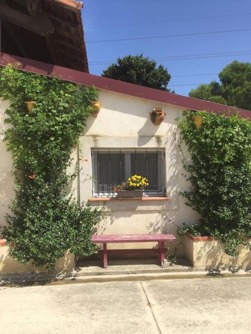 Logement Insolite Au Coeur D'Une Ecurie Arlés Exterior foto