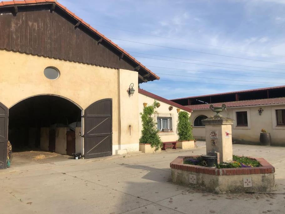 Logement Insolite Au Coeur D'Une Ecurie Arlés Exterior foto